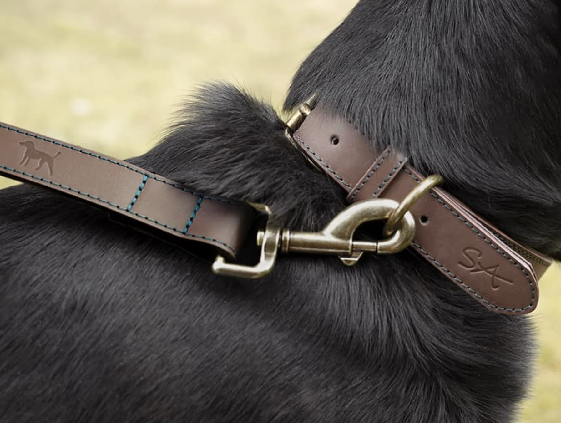 Sophie Allport Leather Dog Collar, Woof - Image 8