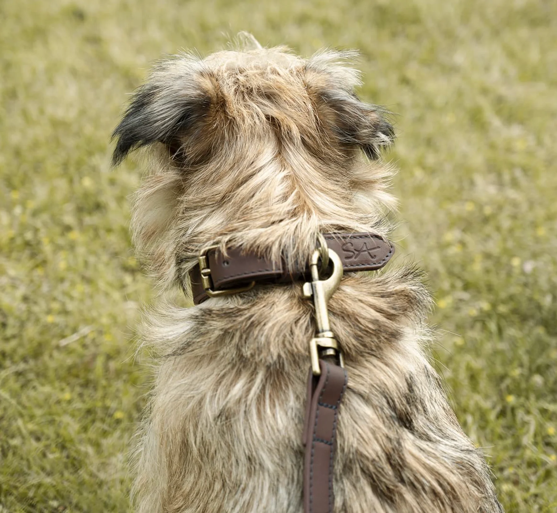 Sophie Allport Leather Dog Lead, Woof - Image 7